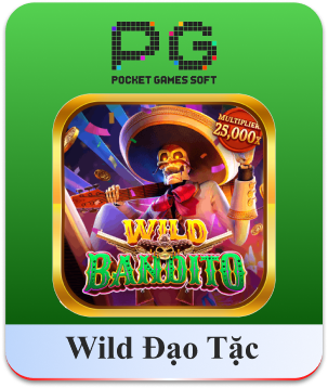 ĐẠO TẶC